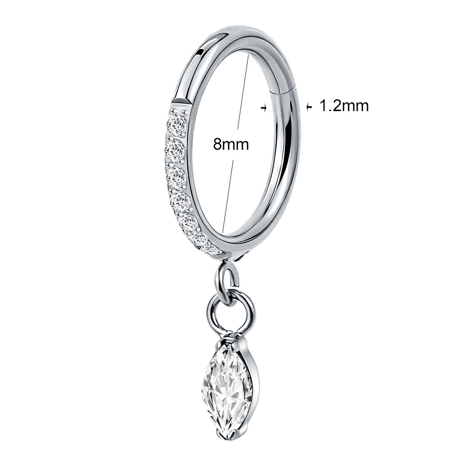 5Pcs Titanium Zircon Hoop Earr - Body Jewelry Trend ulasan dan harga