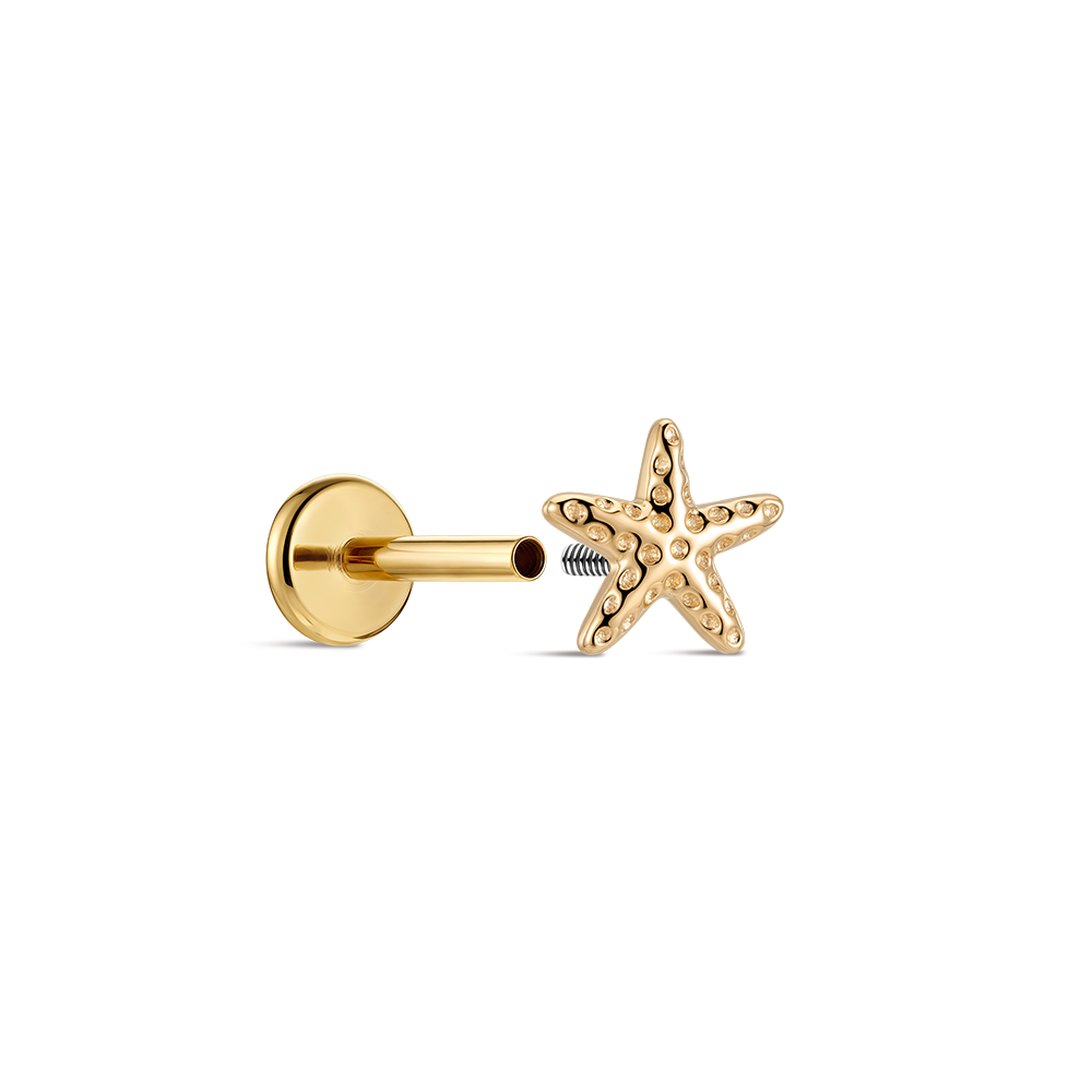 CANNER 14K Solid Gold Starfish - Tragus Flat Back ulasan dan harga